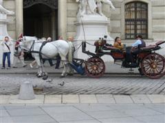 Kutsche in Wien